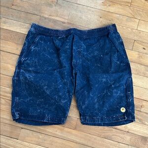 LRG Blue Casual Shorts